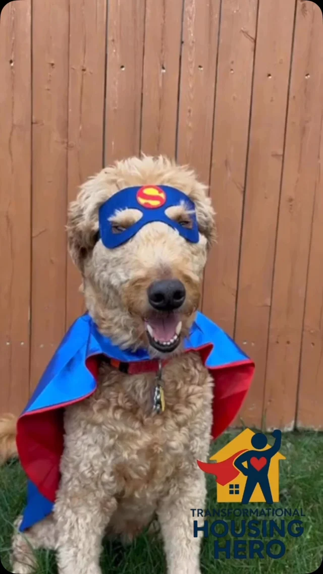 No tricks, just a whole lot of heart! 🎃🦸🐾These two are ready to save the day, but our real-life Housing Heroes make a difference long after Halloween is over!
 
Through our Housing Hero Sponsorship Program, local businesses and individuals help families in our community find housing stability and a place to call home. 🏡
 
Want to become a 2027 Housing Hero? Contact Destiney Davis at ddavis@frontdooragency.org to learn more!
 
Huge Thank You to Our 2026 Housing Heroes:
Debra Nash
@northeastdeltadental 
Nash Foundation
Latitude 44, Limited
Gary and Lori Lambert
@tulleybmwnashua 
Razzaboni – Harrington Family Foundation
SAS Management Consultants
A Proud Member of the Board of Directors
@trianglecreditunion 
PMSI
@nashuanhlionsclub 
Benjamin E. Parker
@bhbtsocial 
In Memory of Lucille Spaney
@stmarysbank 
@hamptoninn.nashua 
@eversourceenergy 
@millyardbank 
Raistrick Engineering
@kalilandkressdentistry 

#HousingHero #FrontDoorAgency #EndHomelessness